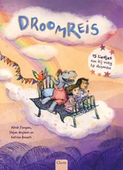 Omslag van Droomreis