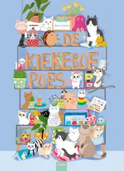 Omslag van De kiekeboepoes