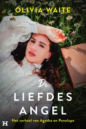 Omslag van De liefdesangel