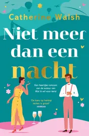 Omslag van Niet meer dan een nacht