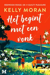 Omslag van Het begint met een vonk