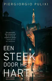 Omslag van Een steek door het hart