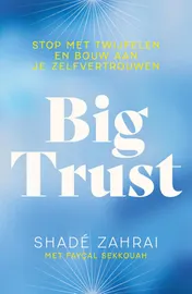 Omslag van Big trust