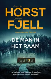 Omslag van De man in het raam