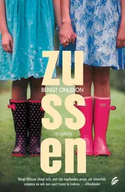 Omslag van Zussen