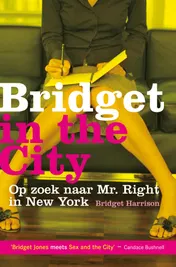 Omslag van Bridget in the city