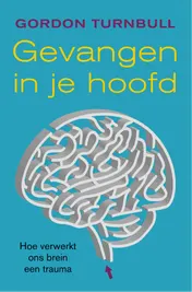 Omslag van Gevangen in je hoofd