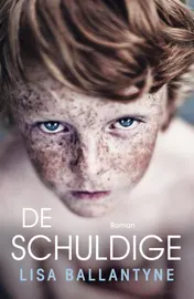 Omslag van De schuldige