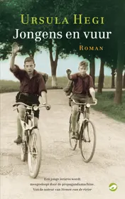 Omslag van Jongens en vuur