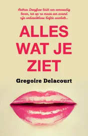Omslag van Alles wat je ziet