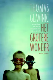Omslag van Het grotere wonder