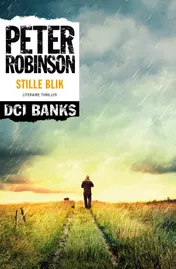 Omslag van Stille blik