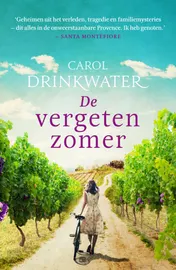 Omslag van De vergeten zomer