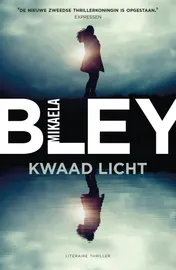 Omslag van Kwaad licht