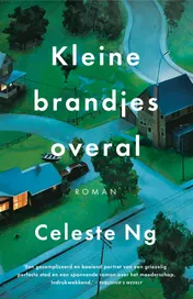 Omslag van Kleine brandjes overal
