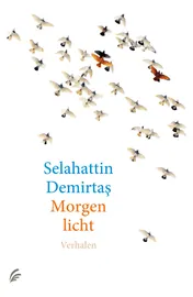 Omslag van Morgenlicht