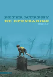 Omslag van De openbaring