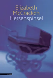 Omslag van Hersenspinsel