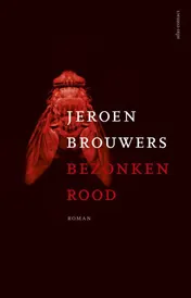 Omslag van Bezonken rood