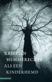 Omslag van Als een kinderhemd