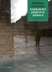 Omslag van Geluk wanneer geluk ver te zoeken is