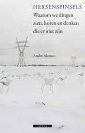 Omslag van Hersenspinsels