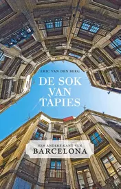 Omslag van De sok van Tapies