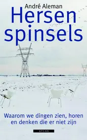 Omslag van Hersenspinsels