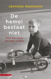 Omslag van De hemel bestaat niet