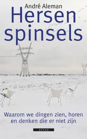 Omslag van Hersenspinsels
