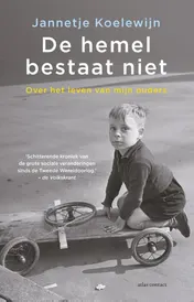 Omslag van De hemel bestaat niet