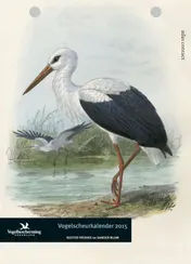 Omslag van 2015