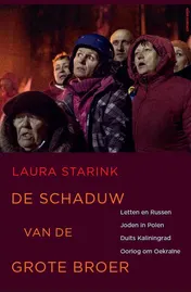 Omslag van De schaduw van de grote broer