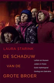 Omslag van De schaduw van de grote broer