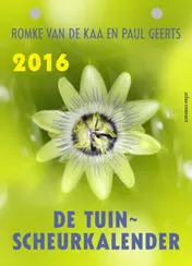 Omslag van 2016