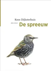 Omslag van De spreeuw
