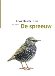 Omslag van De spreeuw