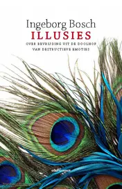 Omslag van Illusies