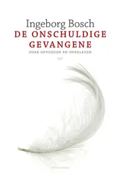 Omslag van De onschuldige gevangene