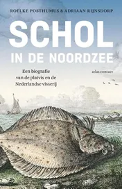 Omslag van Schol in de Noordzee
