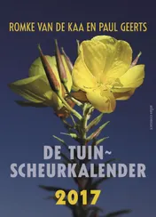 Omslag van 2017