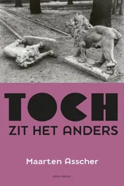 Omslag van Toch zit het anders