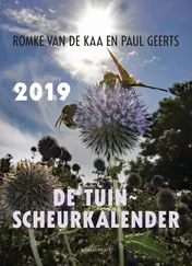 Omslag van 2019