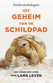 Omslag van Het geheim van de schildpad
