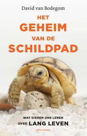 Omslag van Het geheim van de schildpad