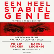 Omslag van Een heel stabiel genie