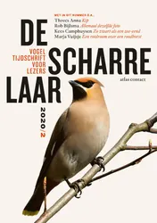 Omslag van De scharrelaar - 2020/2
