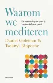 Omslag van Waarom we mediteren