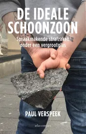 Omslag van De ideale schoonzoon