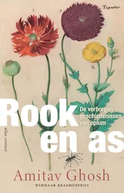 Omslag van Rook en as